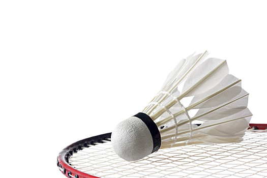 继续书写辉 继续书写辉