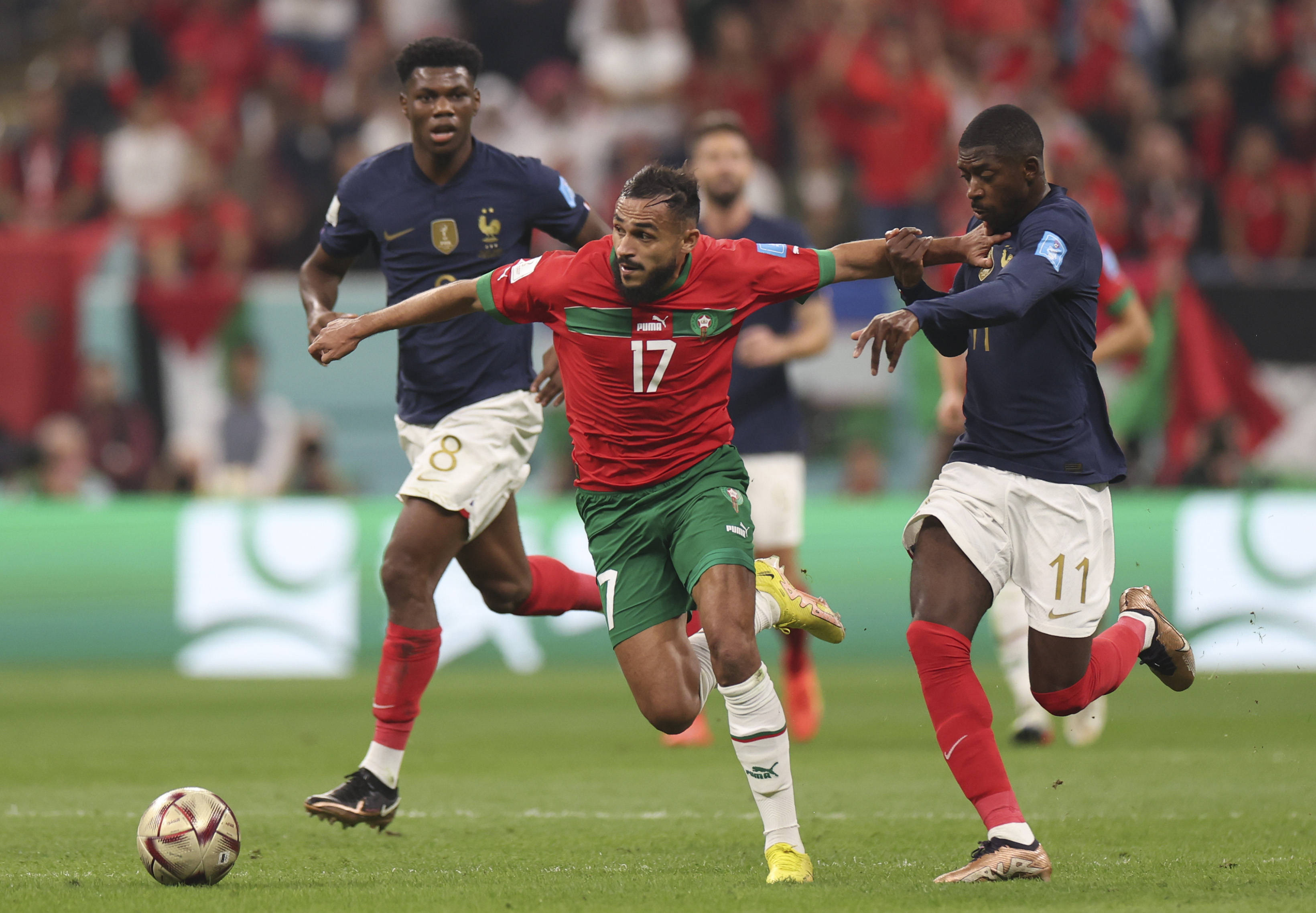 业训练和高 业训练和高